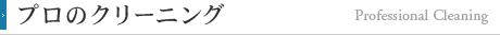 プロのクリーニング